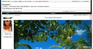 Рисунок1.webp